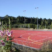 Campo da pallavolo/basket esterno