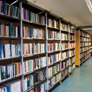 Biblioteca comunale il Drago verde - particolare